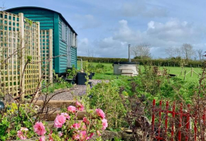 Shepherds Hut with Hot Tub North Wales Angelsey